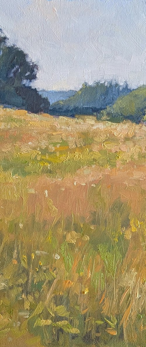 Indian Summer in a Meadow by Lisa Kyle