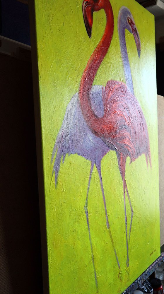 Flamingo 2