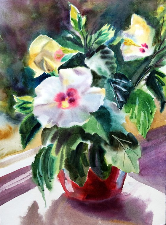 Hibiscus Flower in a Pot Watercolor Still Life Painting