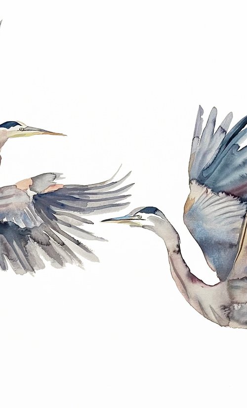 Two Herons by Elizabeth Becker