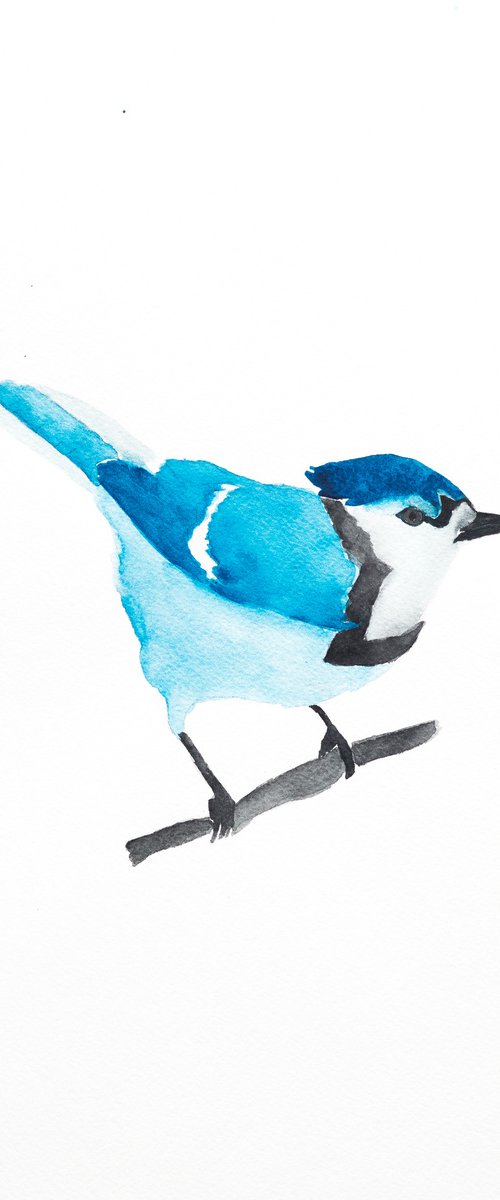 Bird by Nadia Moniatis