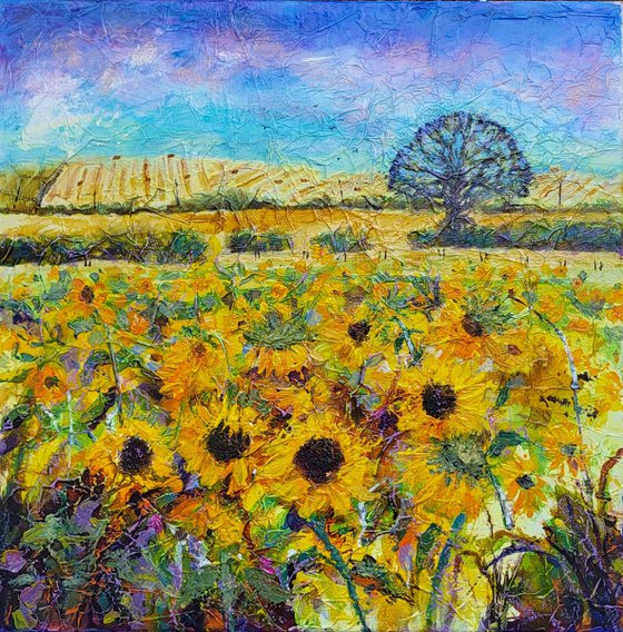 Sunflower Field