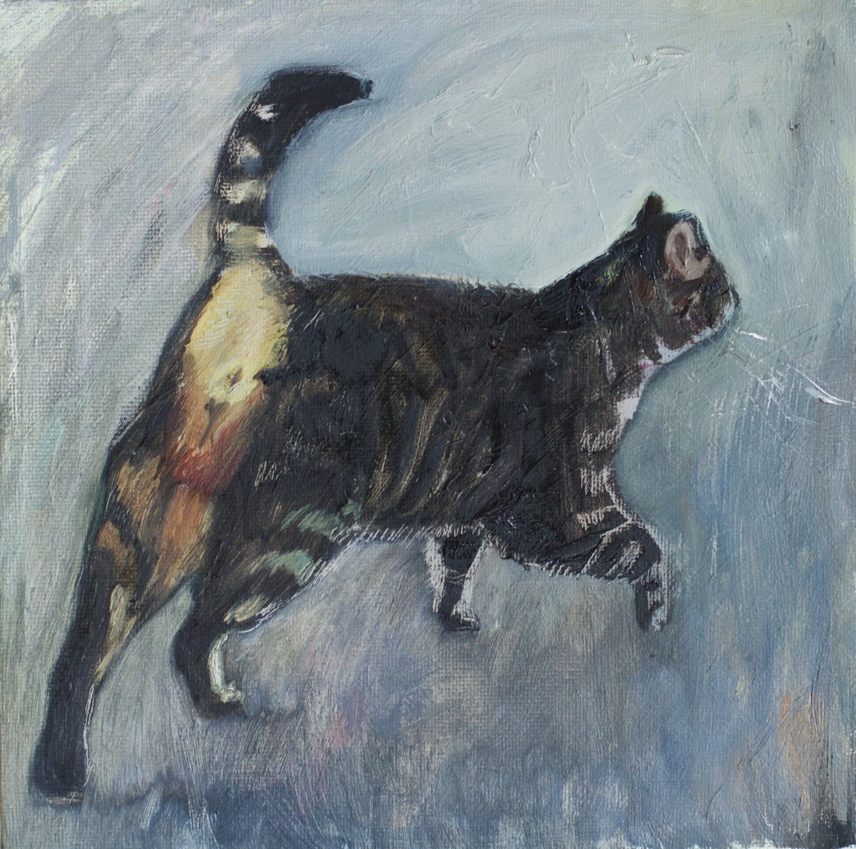 Grey Cat by Marina Skepner