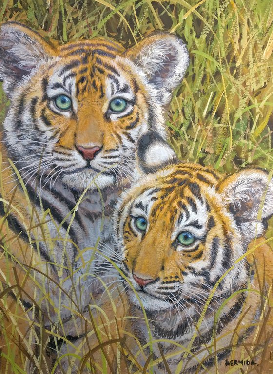 Tiger cubs