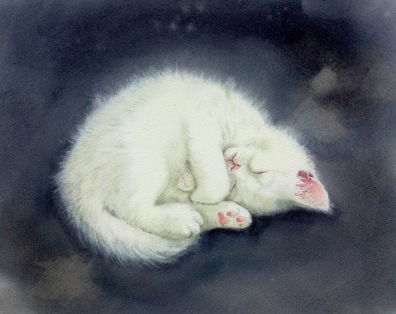 White kitten curled up and sleeping