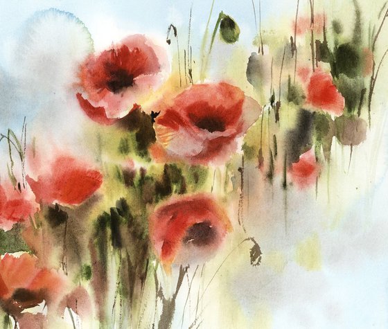 Poppy Flowers