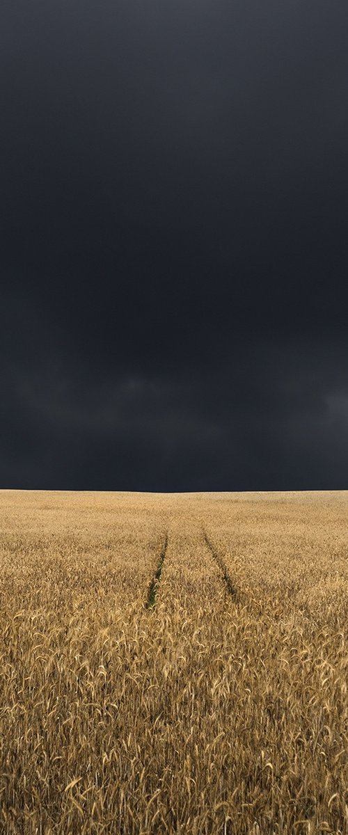 The vanishing road by Jacek Falmur