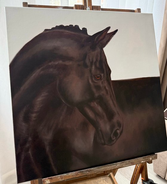 Black horse portrait