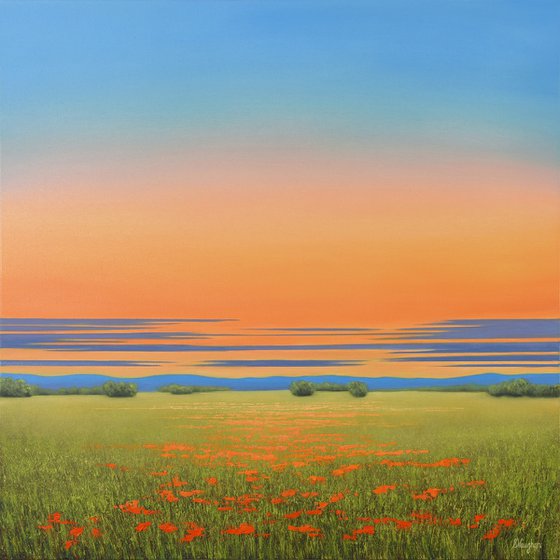 Summertime Flower Field - Poppy Field Landscape