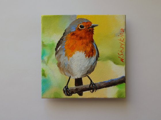 Robin
