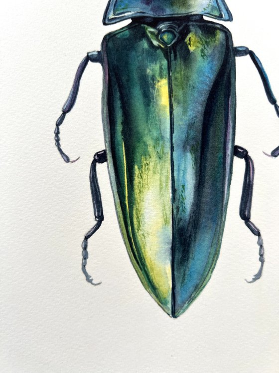 Blue longhorned beetle.