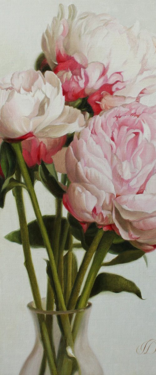 Peony season by Julia Diven
