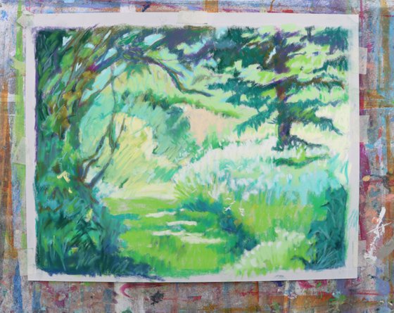 Lost in a Big Garden