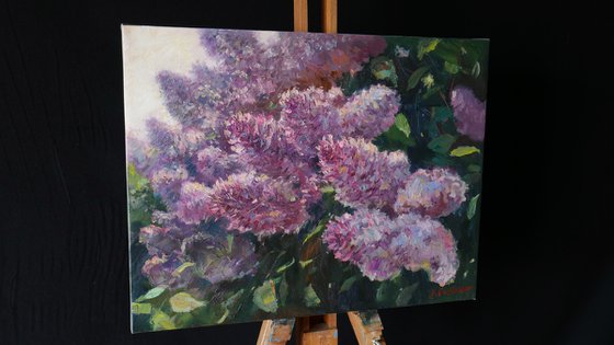 Sunny Lilacs - Lilacs painting