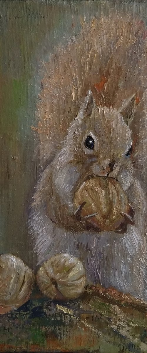 Squirrel(25x35cm, oil painting, impressionistic) by Kamsar Ohanyan