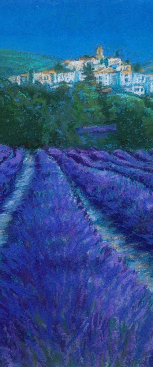 Lavender Fields france by Patricia Clements