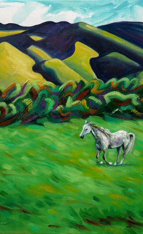 Luberon's horse by Lionel Le Jeune