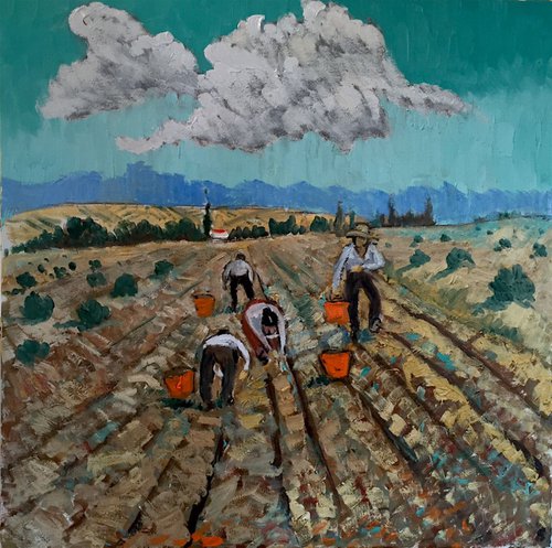 Potato Diggers by Angus  MacDonald