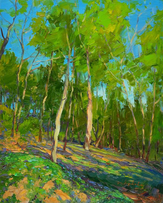 Spring forest