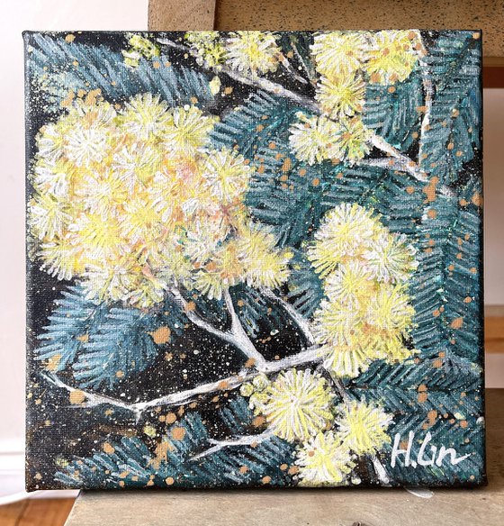 Written In Gold – Black Wattle