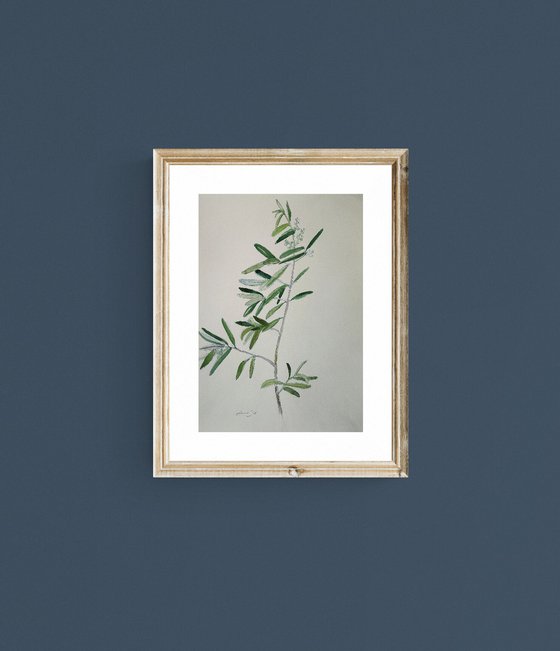 Olive Branch Original Watercolor Painting