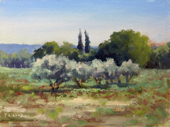 Olive Trees