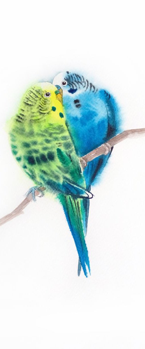 Budgie Birds "I'm Still In Lov by Olga Beliaeva Watercolour
