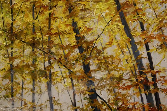 "Light Between the Trees"