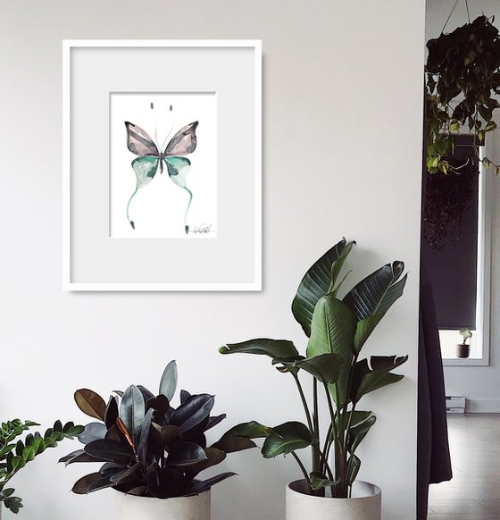 Beautiful Butterflies 2