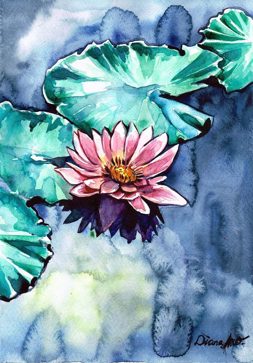 Waterlily Flowers by Diana Aleksanian