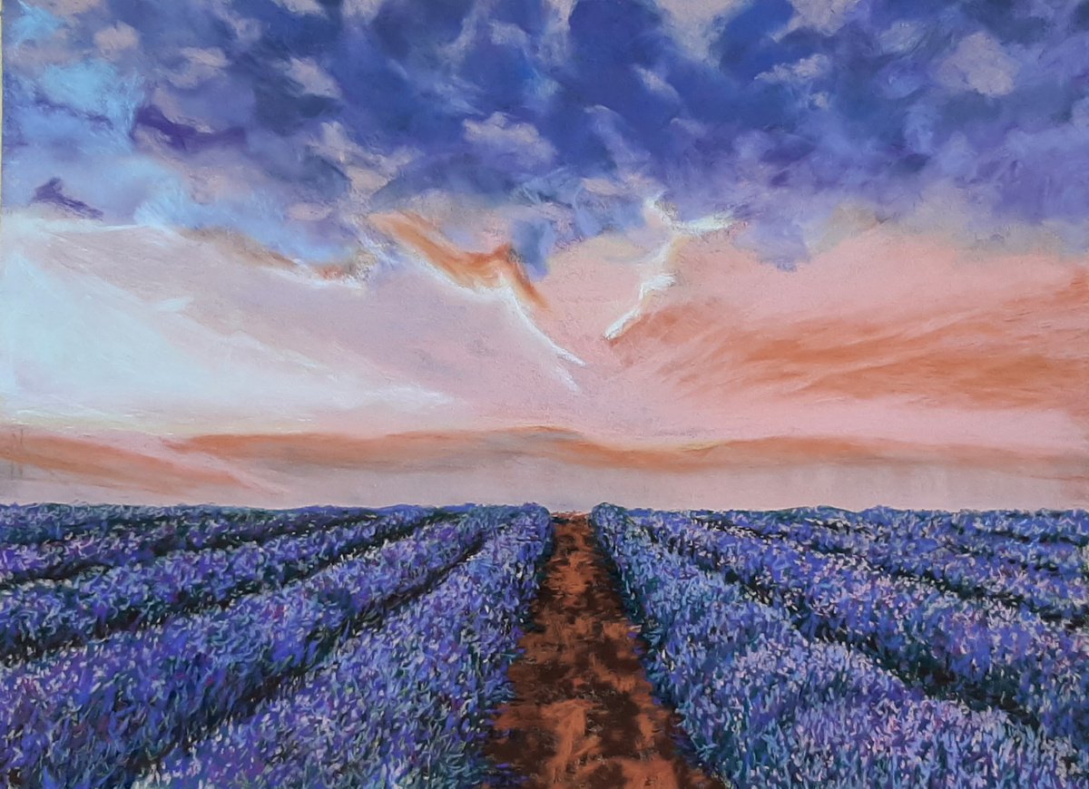 Photorealistic Landscape Pastel Drawing By Anne Shaughnessy, 16 X 12, Lavender Fields, Original Artwork
