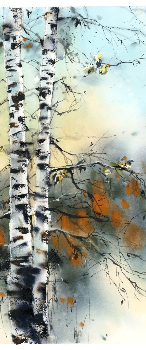 Birch Trees by Sophie Rodionov