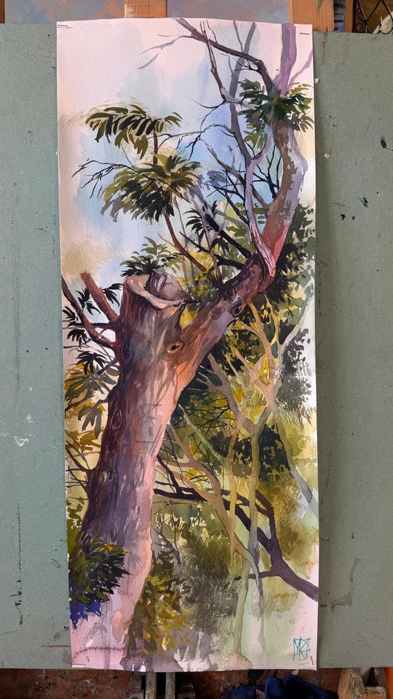 Light Between Branches