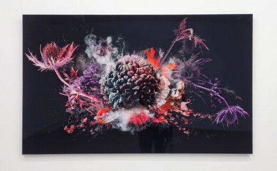 Bouquet x [Studio Clearance]