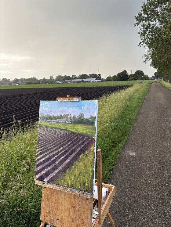 Plowed Field in Wachtum