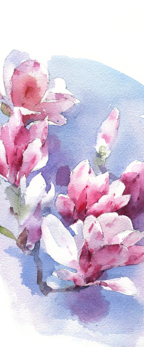 Magnolias. A moment of bloom by Ksenia Selianko