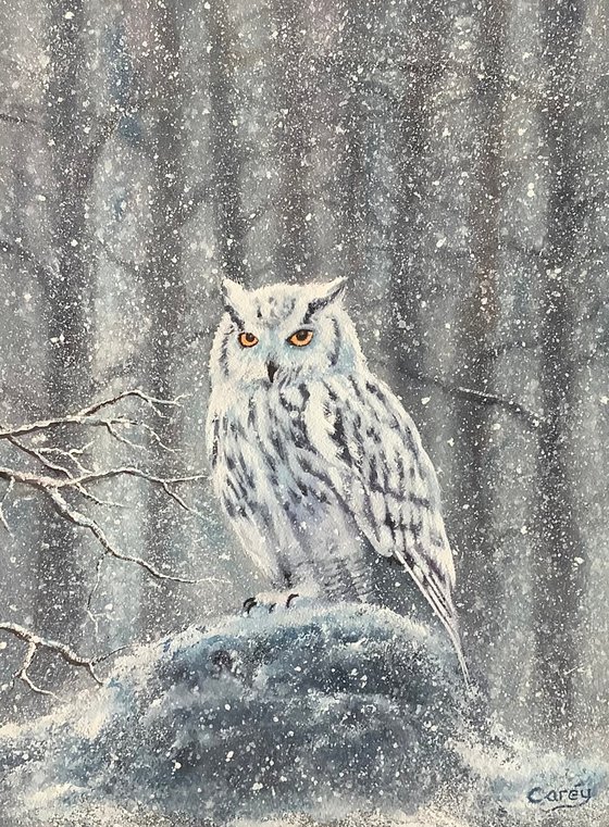 Siberian white owl