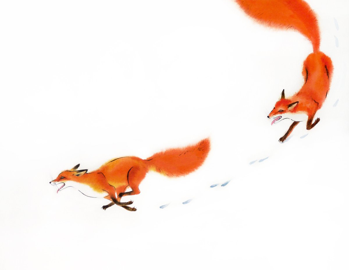 Fun in the snow: two red foxes running in snow by Olga Beliaeva Watercolour