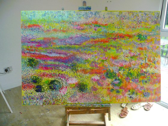 The Lily Pond 2025