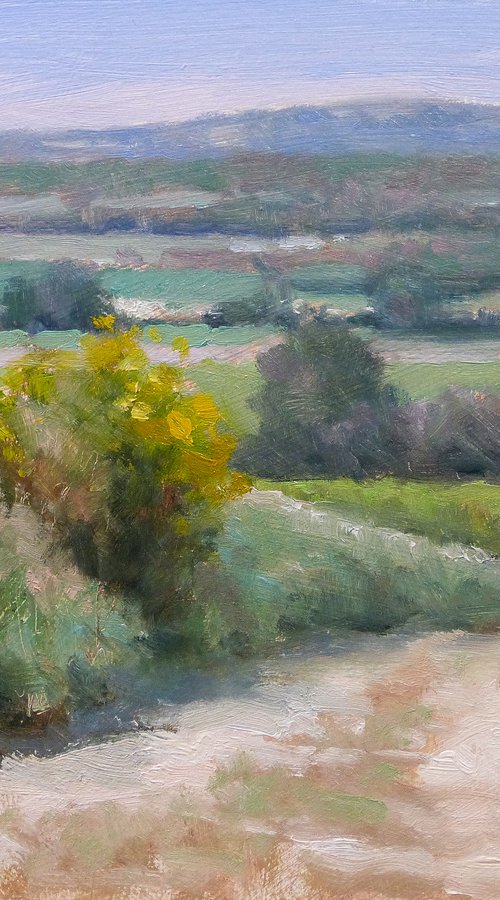 Chemin dans le Luberon by Pascal Giroud