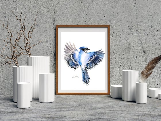 Flying Blue Jay Bird