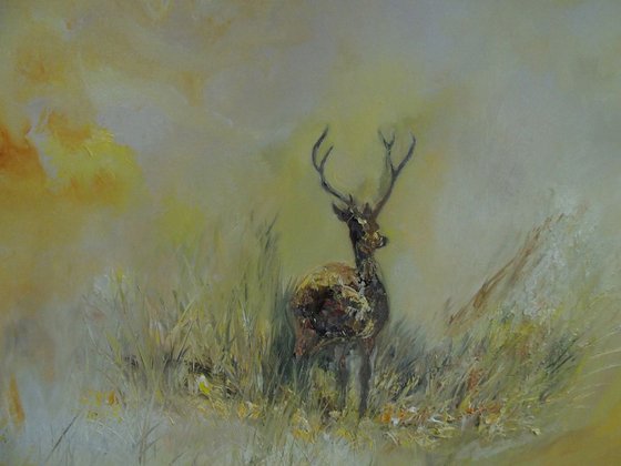 The Wild Stag