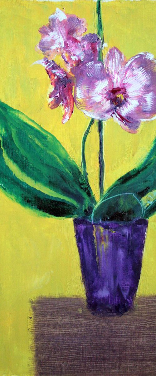 Orchid I /  ORIGINAL PAINTING by Salana Art Gallery