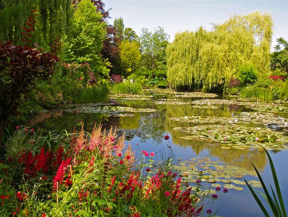 Le jardin d'eau en été