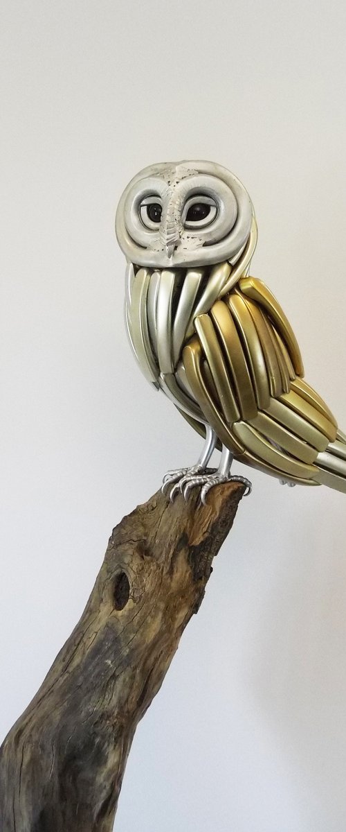 Owl by Nikolay Nedev