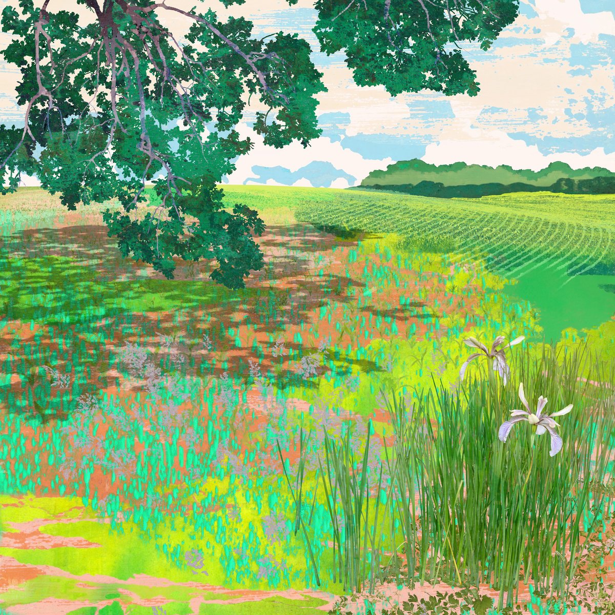 Landscape Photograph By Claire Gill, 24 X 24, Momentary, Original Artwork