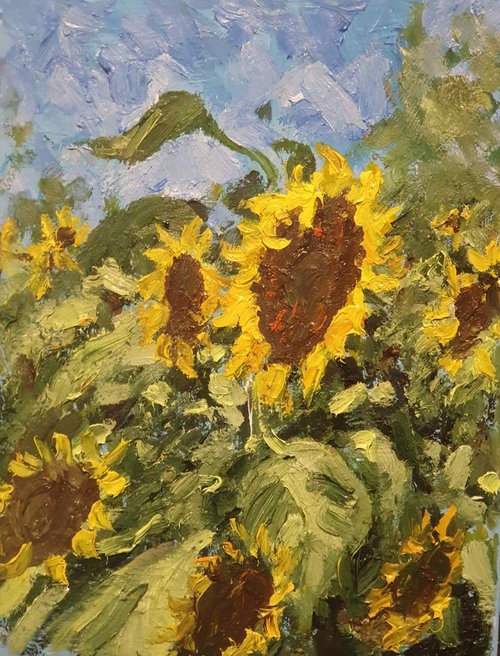 sunflowers near home 3 by Colin Ross Jack