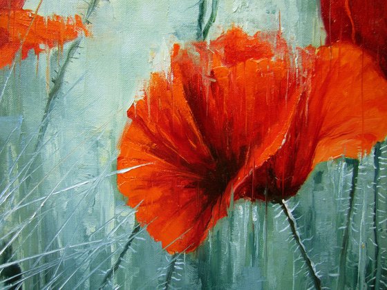 "Wild poppies" , poppies