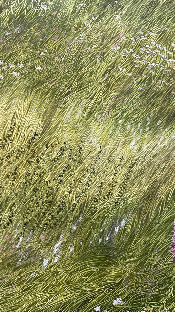 Wind Through the Meadow