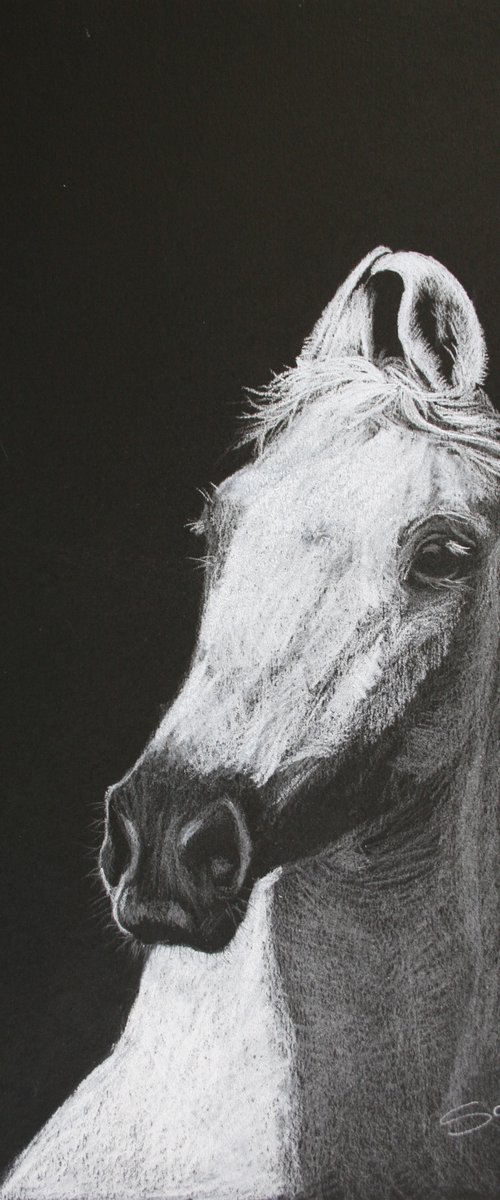 Horse II /  ORIGINAL PAINTING by Salana Art Gallery